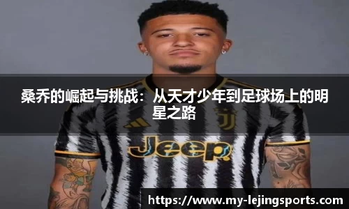 乐竞体育官网